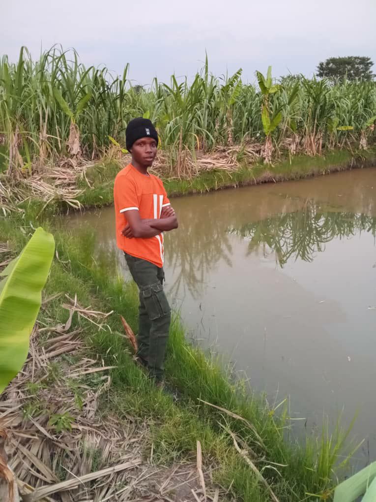 Project Visual Image